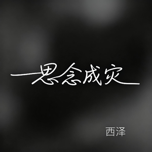 思念成灾（抖音热播版）