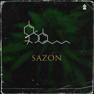 Sazón