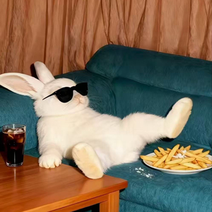 我们本是平行线