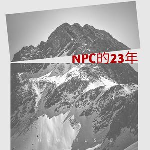 NPC的23年
