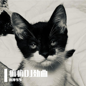 陈冬霖-冲动的惩罚(DJ版）（狗神爷爷 remix）