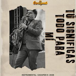 TÚ SIGNIFICAS TODO PARA MÍ