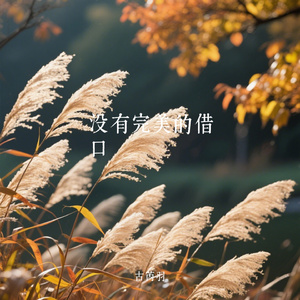 没有完美的借口