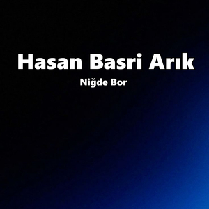 Niğde Bor