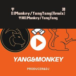 感动天感动地(DJ Monkey/Yang remix)