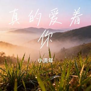 真的爱着你 (小流年 Remix)
