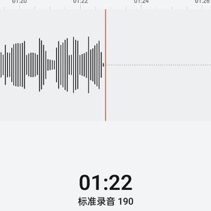 标准录音 190