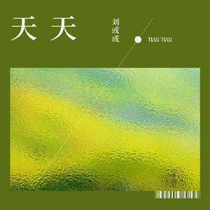 天天