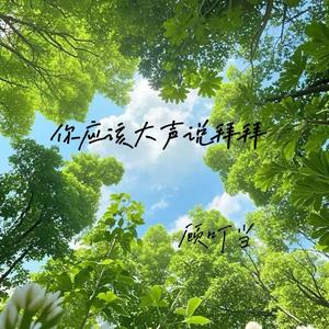 你应该大声说拜拜