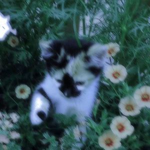 “转折”SASIOVERLXRD x SadPiano Type Beat