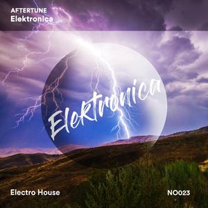 Elektronica