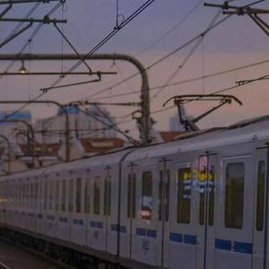 白月光与朱砂痣