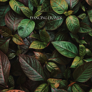 Dancing Leaves