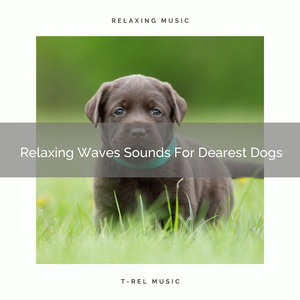 Calming Sea Songs For Our Dogs
