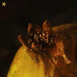 don't worry, I love you