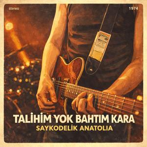 Talihim Yok Bahtım Kara