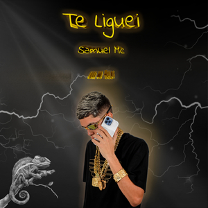 Te liguei
