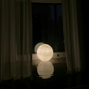 若月亮没来 (若是月亮还没来)