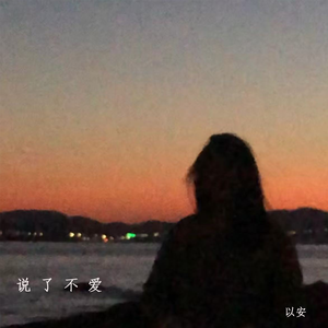 说了不爱