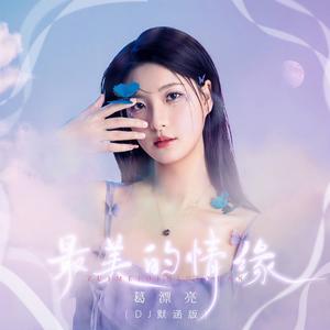 最美的情缘 (DJ默涵版)