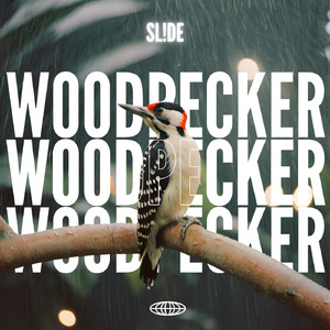 WOODPECKER