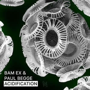 Acidification (Paul Begge Remix)