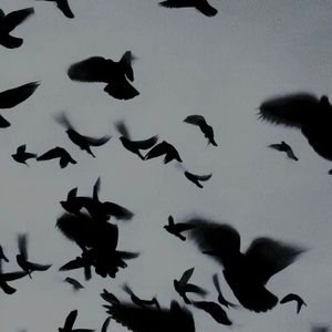 华夏（cover GAI周延）