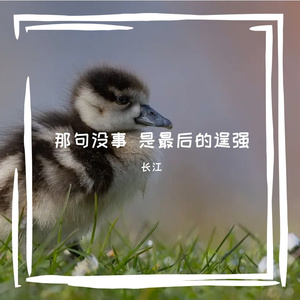 那句没事 是最后的逞强