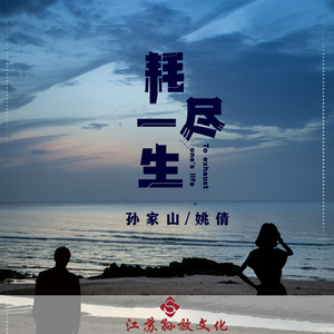 耗尽一生 (DJ版)