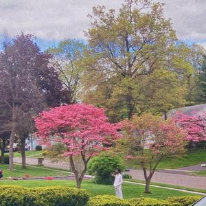 Dollarbills (feat. Cop28grams)