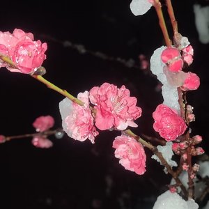 左手右手
