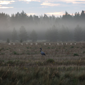 Не стой на ветру