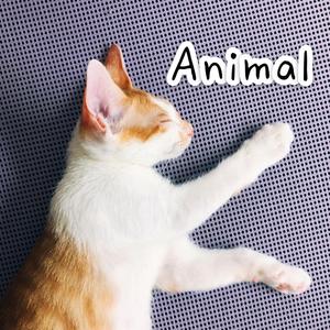 Animal (伴奏)
