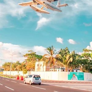 烟花易冷 人易散