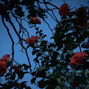 辛路 (Prod By Red killer)