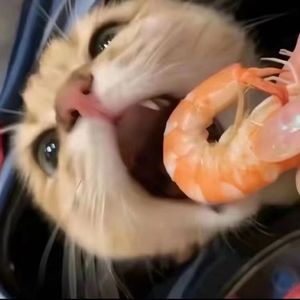 那你呢(prod.by Morrow)