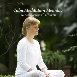 Tranquil Tune Tranquility