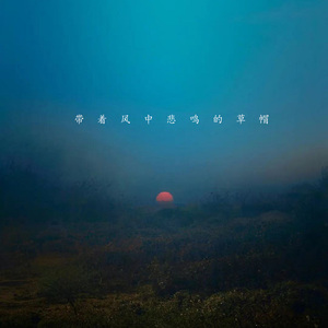 只可惜没能成为你的白马