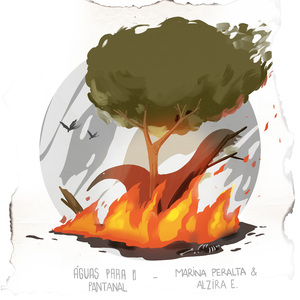 Águas Para o Pantanal