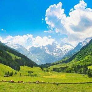 雨打芭蕉闲听雨