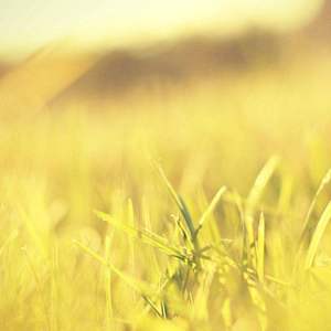 きらきら星（小星星）