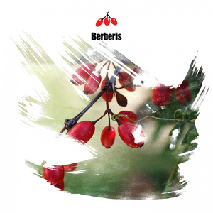 Marienplatze (Original Mix)