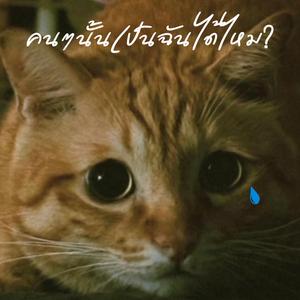 คนๆนั้นเป็นฉันได้ไหม