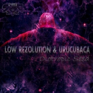 Toxic Land (Urucubaca Remix) (137 BPM)