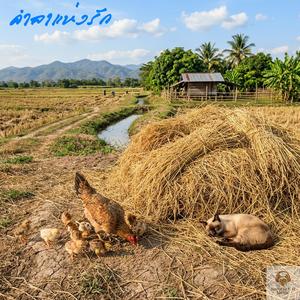 คำลาแห่งรัก