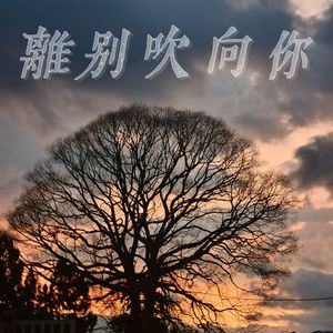 离别吹向你 伴奏