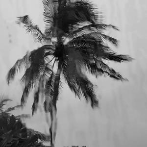 爱人错过（小提琴版）