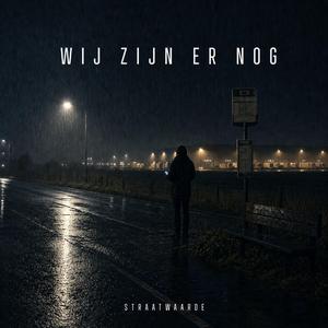 Verzadigingspunt