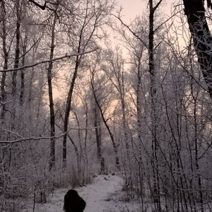 Не парься