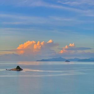 阿伟反复问-蝉萤（阿伟反复问 remix）